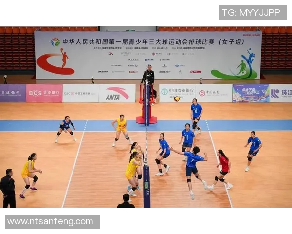 深圳排球队的拼搏之路与杯赛荣耀的背后故事