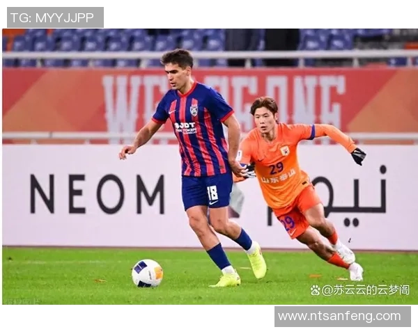 成都排球队逆袭之路：世锦赛背后的拼搏与荣耀