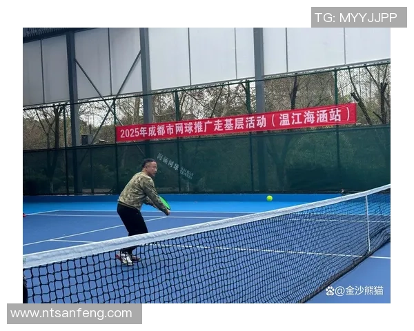 成都网球队中路突破的成功与不足分析及未来发展方向探讨